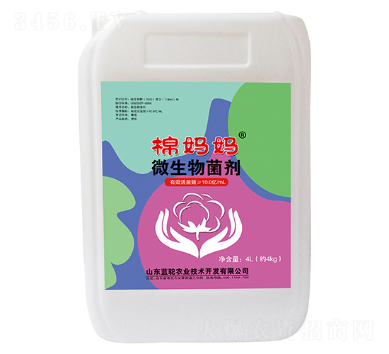 ΢�������-�ދ���-�{(l��n)�