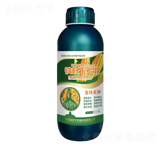 �F�U�����-�����S-���Π�