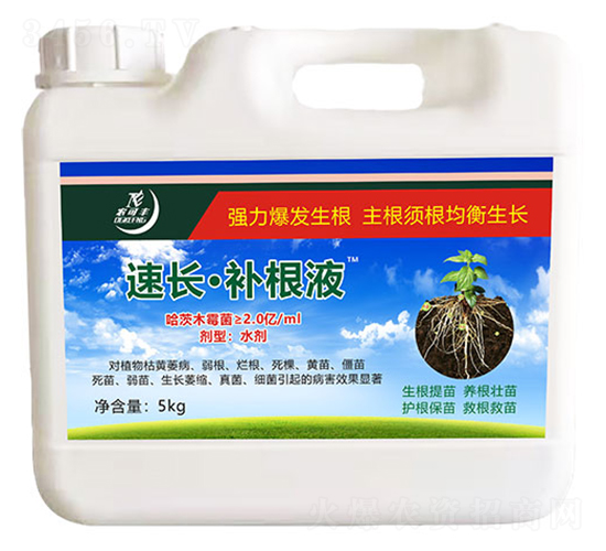 ���L���a��Һ-�r���S