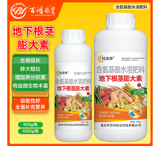 ���¸��o�����-�����r(n��ng)�I(y��)