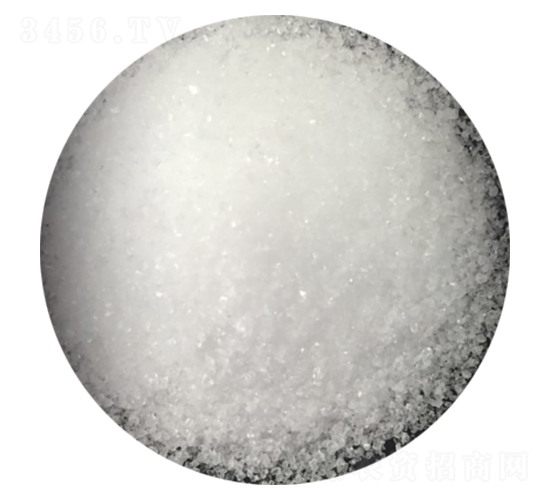 ��������-���񻯹�