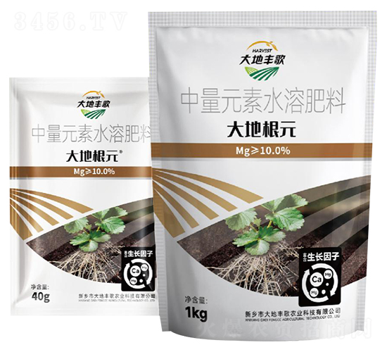 ��ظ�Ԫ����Ԫ��ˮ�ܷ���-����S��