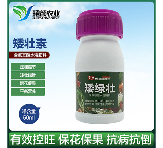 ������-�B��r(n��ng)�I(y��)