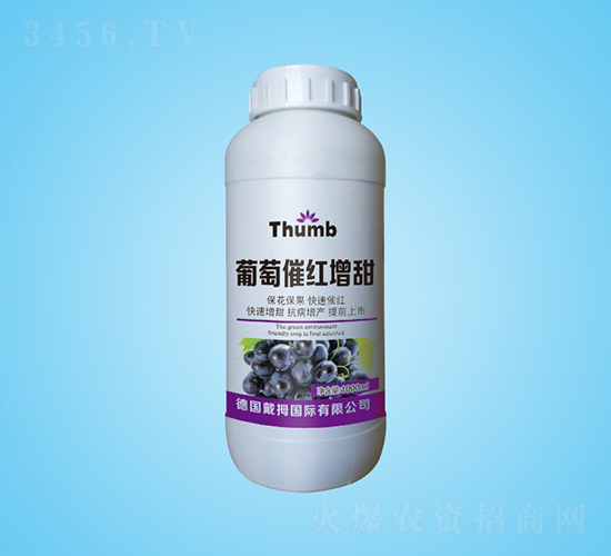 ���Ѵ߼t����-����r(n��ng)�I(y��)