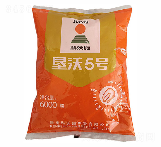 ����5̖(h��o)���׷N��-����ʩ-����r(n��ng)�I(y��)