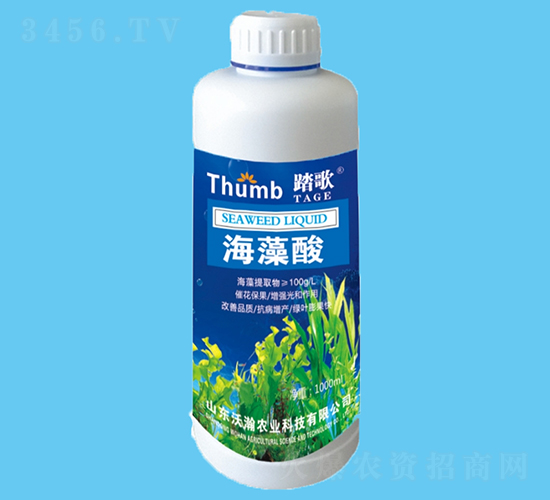 ������-̤��-����r�I(y��)