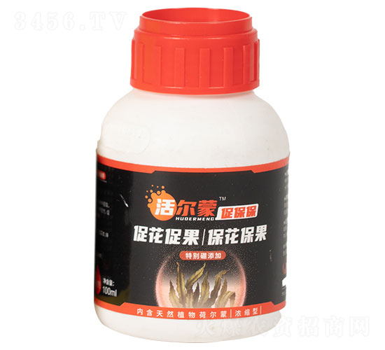 ��ɡ��ٱ������؄e�����ӣ�-��������