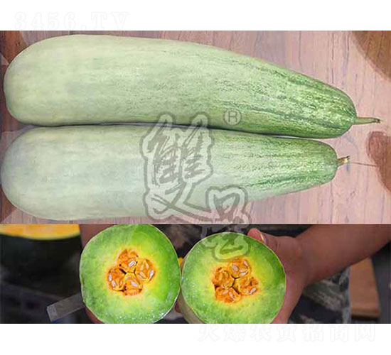 �@ϲ-��ϷN��-�p�ǷN�I(y��)