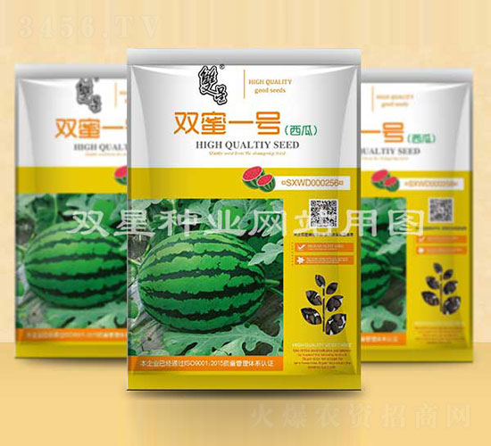 �p��һ̖-���ϷN��-�p�ǷN�I(y��)