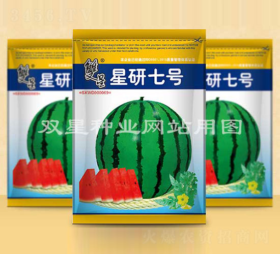 ������̖(h��o)-���ϷN��-�p�ǷN�I(y��)