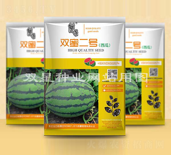 �p�۶�̖-���ϷN��-�p�ǷN�I(y��)