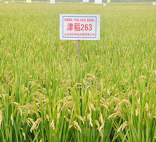 ��263-ˮ���N��-�Ǻ����r(n��ng)