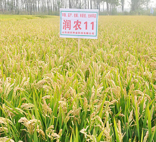 ��(r��n)�r(n��ng)11-ˮ���N��-�Ǻ���(r��n)�r(n��ng)