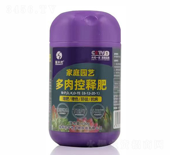 �����ጷ�8-12-20+TE-��ǧ��