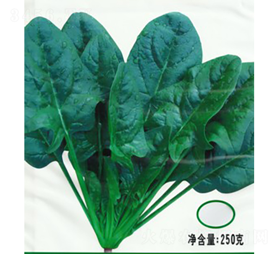 �½�(j��ng)��K������-���˷N��-�V��