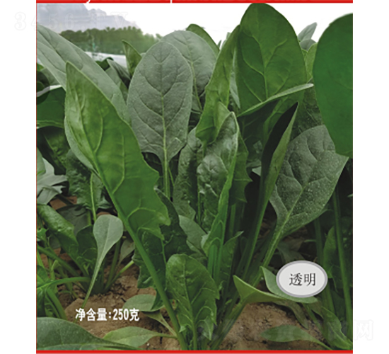 �¼o(j��)Ԫ����-���˷N��-�V��