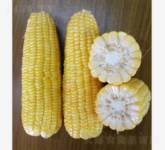 �V����35����-���׷N��-�V��