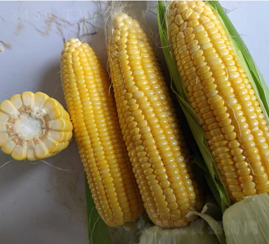 �V����39̖(h��o)����-���׷N��-�V��