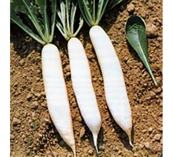 22̖(h��o)���~13�}��-�}���N��-�V��