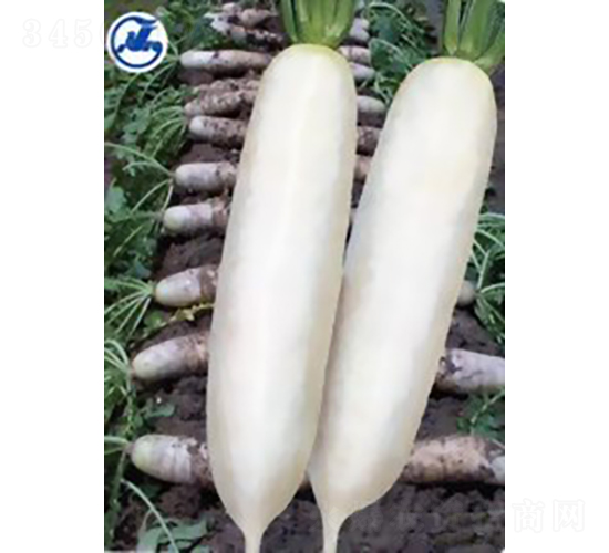 �����}��-�}���N��-�V��