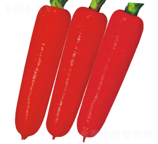 F1����1̖���}��-���}���N��-�V��