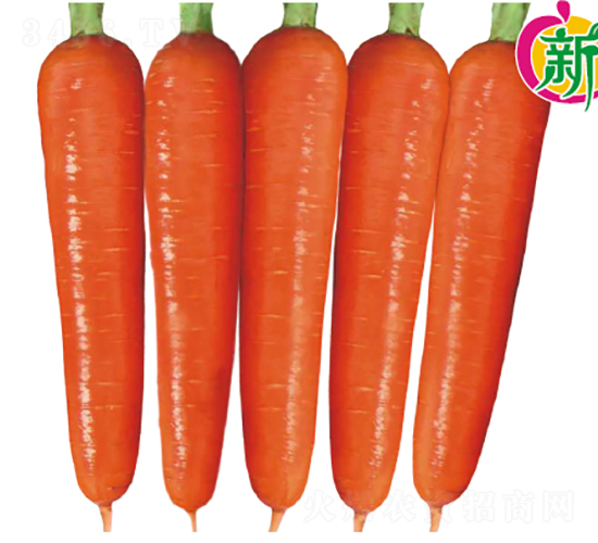 ��ϼ1̖���}��-���}���N��-�V��