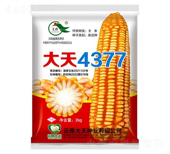 ���׷N��-����4377-����N�I(y��)