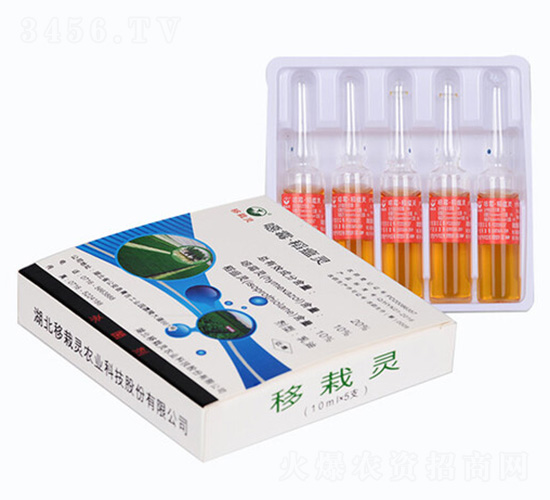 �����`-�����`�r(n��ng)�I(y��)