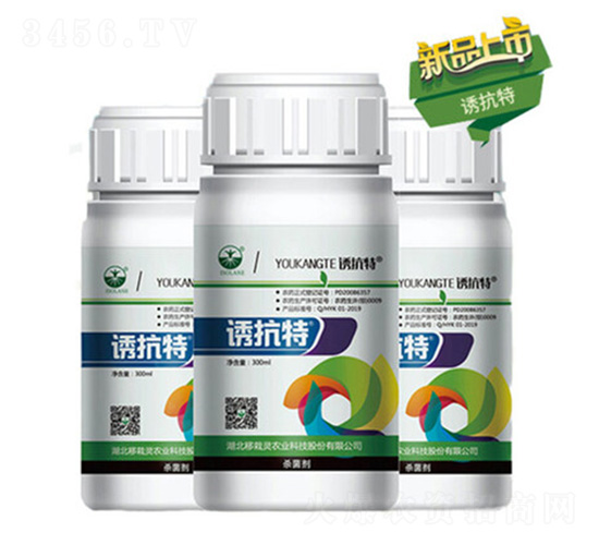 �T����-�����`�r(n��ng)�I(y��)