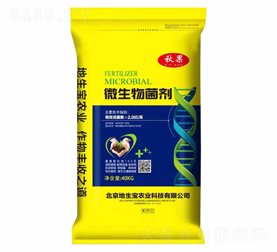 40kg΢�������-���-������