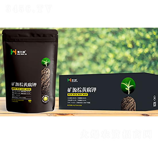 �VԴ���S���-���f��