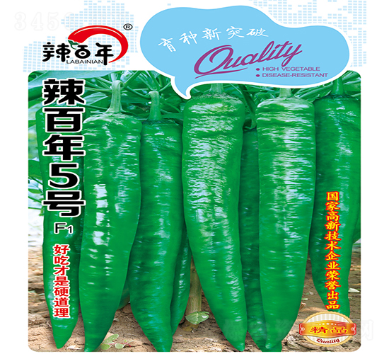 ������5̖(h��o)-�����N��-�K���N�I(y��)