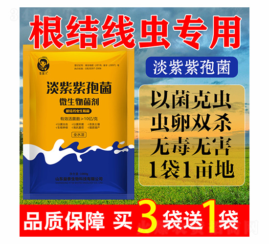 �������߾�-΢�������-������