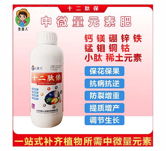 ʮ���ı�-������