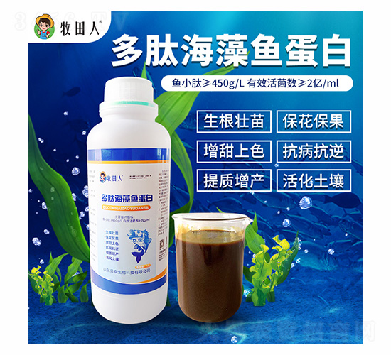 ���ĺ����~����-������