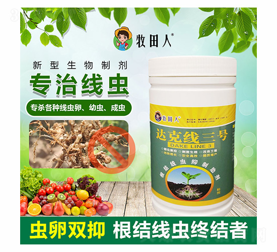 �_�˾���̖-������