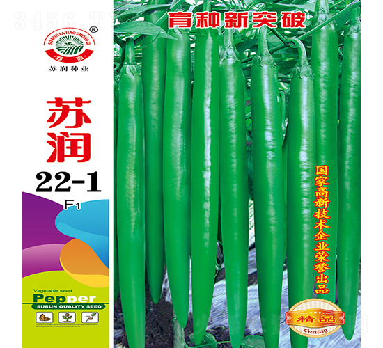 �K��22-1-�����N��-�K���N�I(y��)