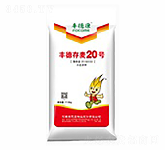 �S�´���20̖(h��o)���t��-�S�¿�