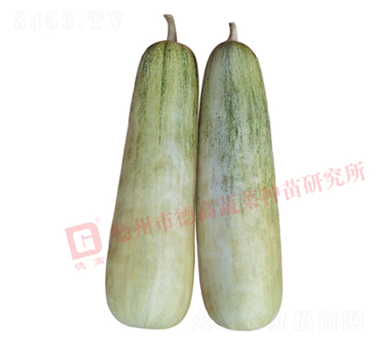 �¸�S60-��ϷN��-�¸߷N�I(y��)