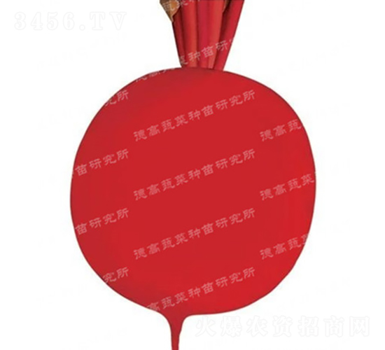 �tƤ�}��-�t���-�}���N��-�¸߷N�I(y��)