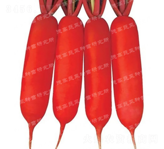 ˮ�}��-�¸�601-�}���N��-�¸߷N�I(y��)