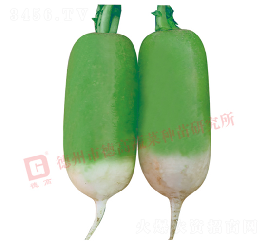 �S�GƤ�}��-R117-�}���N��-�¸߷N�I(y��)