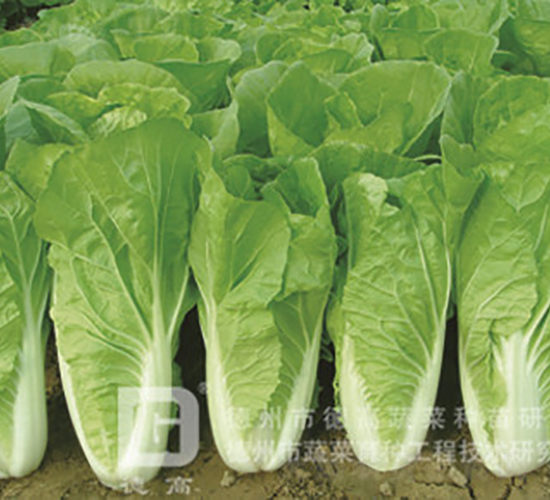 �~ɫ�S�G���-�L��5̖(h��o)-��˷N��-�¸߷N�I(y��)