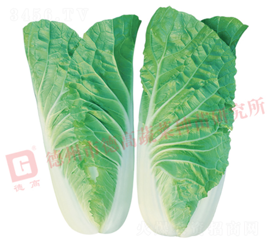 �~ɫ�Gɫ���-���6̖-��˷N��-�¸߷N�I(y��)