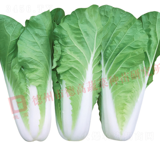 �~ɫ�S�G���-���9̖-��˷N��-�¸߷N�I(y��)