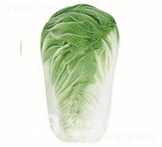 �＾�ײ�-�¸�8̖(h��o)-��ײ˷N��-�¸߷N�I(y��)