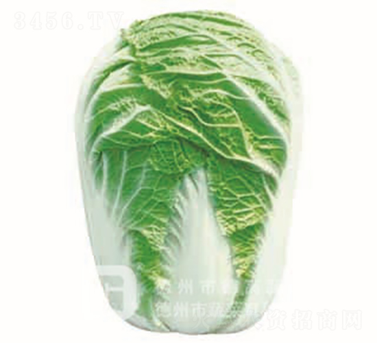 �＾�ײ�-�¸�1̖-��ײ˷N��-�¸߷N�I(y��)