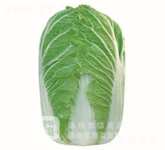 �＾�ײ�-�¸�18-��ײ˷N��-�¸߷N�I(y��)