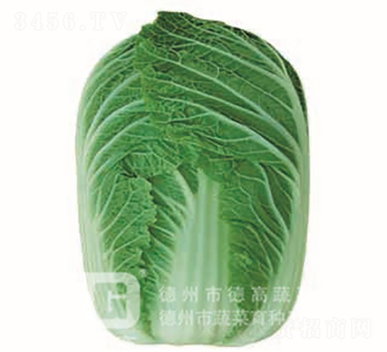 �＾�ײ�-�F��2̖-��ײ˷N��-�¸߷N�I(y��)