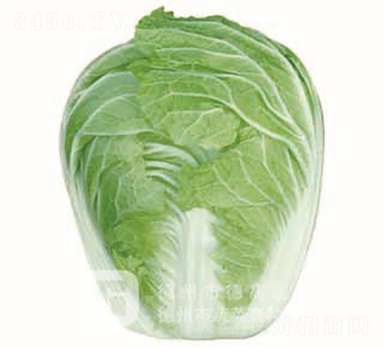 �ļ��͟�ײ�-�İ�1̖-��ײ˷N��-�¸߷N�I(y��)